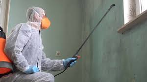 Professional Mold Remediation in Lakeview, NY