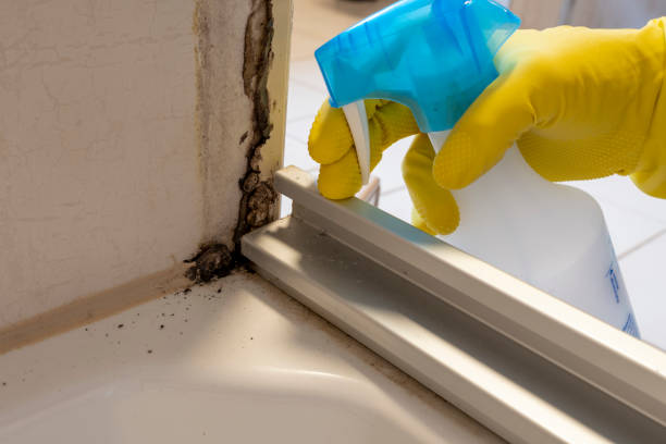 Best Mold Remediation for Healthcare Facilities  in Lakeview, NY